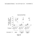 MATERIALS AND METHODS FOR PRODUCING IMPROVED LENTIVIRAL VECTOR PARTICLES diagram and image