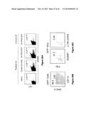 MATERIALS AND METHODS FOR PRODUCING IMPROVED LENTIVIRAL VECTOR PARTICLES diagram and image