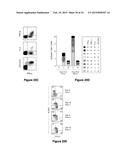 MATERIALS AND METHODS FOR PRODUCING IMPROVED LENTIVIRAL VECTOR PARTICLES diagram and image