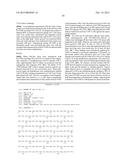 MATERIALS AND METHODS FOR PRODUCING IMPROVED LENTIVIRAL VECTOR PARTICLES diagram and image