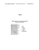 MULTIVALENT NANOEMULSION VACCINES diagram and image