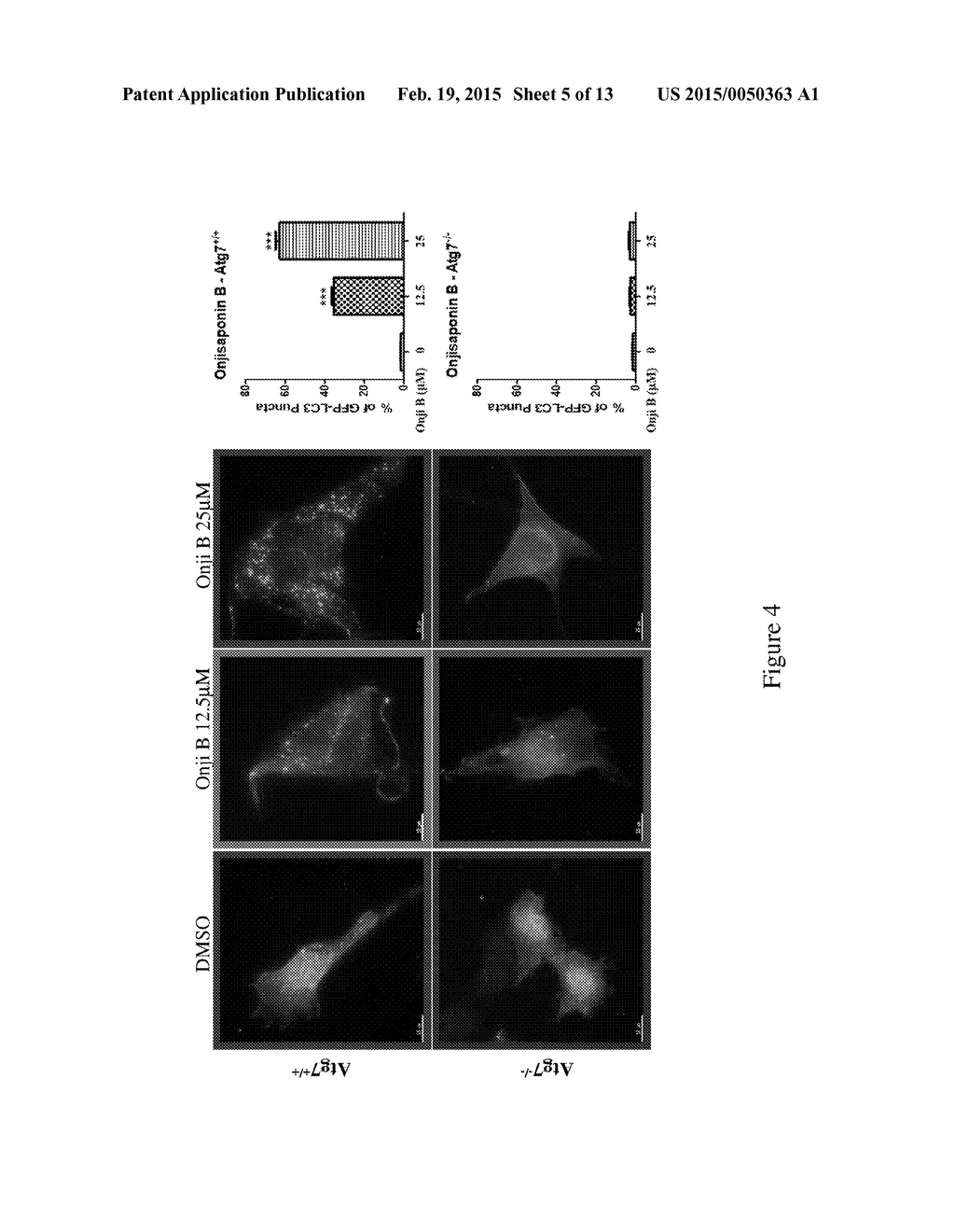 Novel autophagy enhancer for treatment of neurodegenerative diseases - diagram, schematic, and image 06