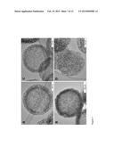 HIGHLY SINTER-STABLE METAL NANOPARTICLES SUPPORTED ON MESOPOROUS GRAPHITIC     PARTICLES AND THEIR USE diagram and image