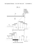 METHOD FOR PREPARING MUTANT ESCHERICHIA COLI CAPABLE OF SIMULTANEOUSLY     UTILIZING GLUCOSE AND XYLOSE diagram and image