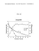 METHOD FOR PREPARING MUTANT ESCHERICHIA COLI CAPABLE OF SIMULTANEOUSLY     UTILIZING GLUCOSE AND XYLOSE diagram and image