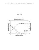 METHOD FOR PREPARING MUTANT ESCHERICHIA COLI CAPABLE OF SIMULTANEOUSLY     UTILIZING GLUCOSE AND XYLOSE diagram and image