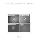 NOVEL CELLULASE diagram and image