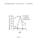 NOVEL CELLULASE diagram and image