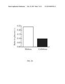 NOVEL CELLULASE diagram and image