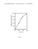 NOVEL CELLULASE diagram and image