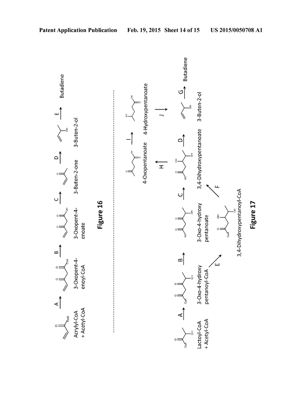 MICROORGANISMS AND METHODS FOR PRODUCING BUTADIENE AND RELATED COMPOUNDS     BY FORMATE ASSIMILATION - diagram, schematic, and image 15