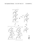 PROCESSING BIOMASS diagram and image