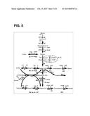 PROCESSING BIOMASS diagram and image