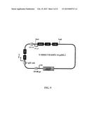 Stably Tethered Structures of Defined Compositions with Multiple Functions     or Binding Specificities diagram and image