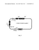 Stably Tethered Structures of Defined Compositions with Multiple Functions     or Binding Specificities diagram and image