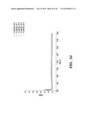 BACTERIOPHAGES EXPRESSING ANTIMICROBIAL PEPTIDES AND USES THEREOF diagram and image