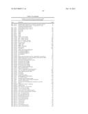 BACTERIOPHAGES EXPRESSING ANTIMICROBIAL PEPTIDES AND USES THEREOF diagram and image