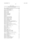 BACTERIOPHAGES EXPRESSING ANTIMICROBIAL PEPTIDES AND USES THEREOF diagram and image