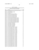 BACTERIOPHAGES EXPRESSING ANTIMICROBIAL PEPTIDES AND USES THEREOF diagram and image