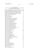 BACTERIOPHAGES EXPRESSING ANTIMICROBIAL PEPTIDES AND USES THEREOF diagram and image