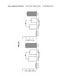 HUMAN SOLUBLE RECEPTOR FOR ADVANCED GLYCATION END PRODUCTS (sRAGE),     METHODS OF PREPARING HUMAN sRAGE, AND TREATMENT METHODS USING sRAGE diagram and image