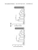 HUMAN SOLUBLE RECEPTOR FOR ADVANCED GLYCATION END PRODUCTS (sRAGE),     METHODS OF PREPARING HUMAN sRAGE, AND TREATMENT METHODS USING sRAGE diagram and image