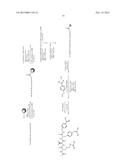 INHIBITORS OF FURIN AND OTHER PRO-PROTEIN CONVERTASES diagram and image