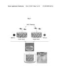 HYDROGEL SYSTEM COMPRISING SPATIALLY SEPARATED BIOACTIVE POLYPEPTIDES diagram and image