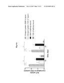 HYDROGEL SYSTEM COMPRISING SPATIALLY SEPARATED BIOACTIVE POLYPEPTIDES diagram and image