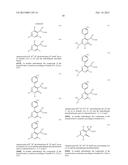 NOVEL VIRAL REPLICATION INHIBITORS diagram and image