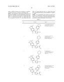 TRIAZOLE DERIVATIVES AS HSP90 INHIBITORS diagram and image