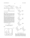 TRIAZOLE DERIVATIVES AS HSP90 INHIBITORS diagram and image