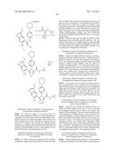 TRIAZOLE DERIVATIVES AS HSP90 INHIBITORS diagram and image