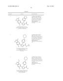 TRIAZOLE DERIVATIVES AS HSP90 INHIBITORS diagram and image