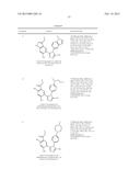 TRIAZOLE DERIVATIVES AS HSP90 INHIBITORS diagram and image