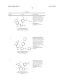 TRIAZOLE DERIVATIVES AS HSP90 INHIBITORS diagram and image