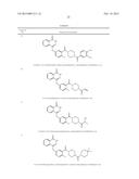 POLY (ADP-RIBOSE) POLYMERASE INHIBITOR diagram and image