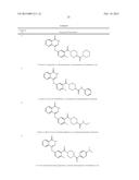 POLY (ADP-RIBOSE) POLYMERASE INHIBITOR diagram and image