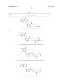 POLY (ADP-RIBOSE) POLYMERASE INHIBITOR diagram and image