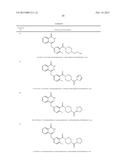 POLY (ADP-RIBOSE) POLYMERASE INHIBITOR diagram and image