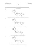 POLY (ADP-RIBOSE) POLYMERASE INHIBITOR diagram and image