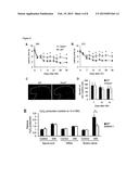 INHIBITORS OF NOX4 EXPRESSION AND /OR NOX4 FUNCTION AND THEIR USE IN THE     PREVENTION AND TREATMENT OF NERVE INJURY AND/OR NEUROPATHIC PAIN diagram and image