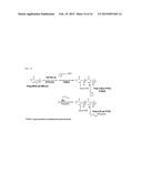 Drug Delivery Conjugate Capable of Controlled Release, and Use Thereof diagram and image