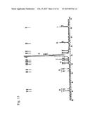 PRODUCTION METHOD OF COPOLYMER OF ALLYL MONOMER CONTAINING POLAR GROUP diagram and image