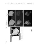 CELLULOSE-/CHITIN-TYPE POLYMERIC LIGHT-EMITTING MATERIAL diagram and image