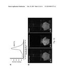 CELLULOSE-/CHITIN-TYPE POLYMERIC LIGHT-EMITTING MATERIAL diagram and image