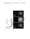 CELLULOSE-/CHITIN-TYPE POLYMERIC LIGHT-EMITTING MATERIAL diagram and image