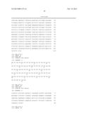 FUSION PROTEINS OF SUPERFOLDER GREEN FLUORESCENT PROTEIN AND USE THEREOF diagram and image