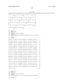 FUSION PROTEINS OF SUPERFOLDER GREEN FLUORESCENT PROTEIN AND USE THEREOF diagram and image