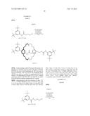 PSEUDOROTAXANES, ROTAXANES AND CATENANES FORMED BY METAL IONS TEMPLATING diagram and image